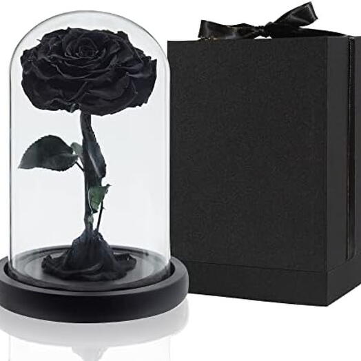 Preserved Black Rose