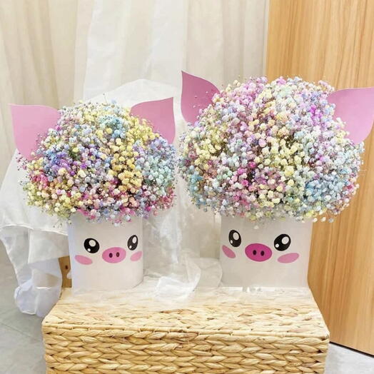 Peppa And  Shine_Luxurious Подарочный набор для дочерей, племянников, внуков