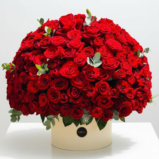 201 Red Roses in White Box