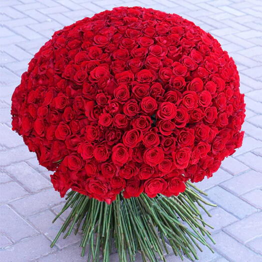 151 Red Roses Bunch