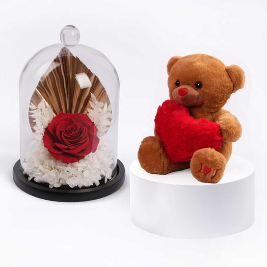 Forever Red Rose Dome with Teddy