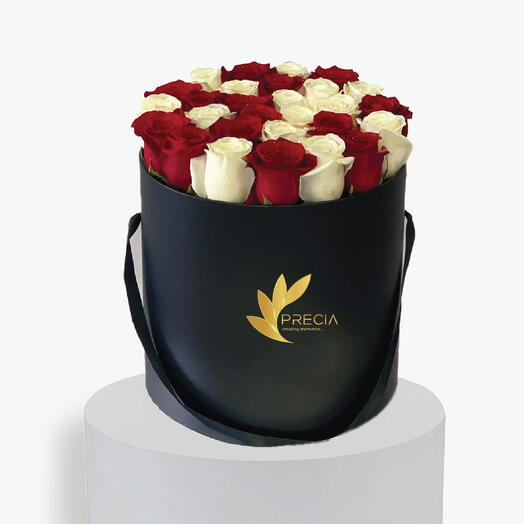 Елена красно-белая роза