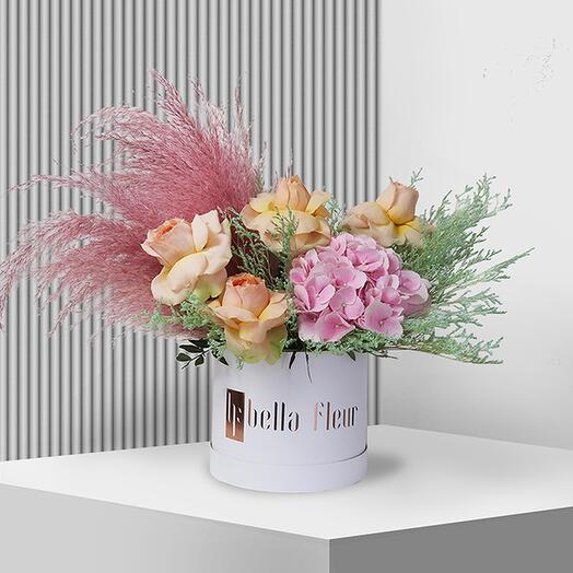 Pastel Bella Box - Medium