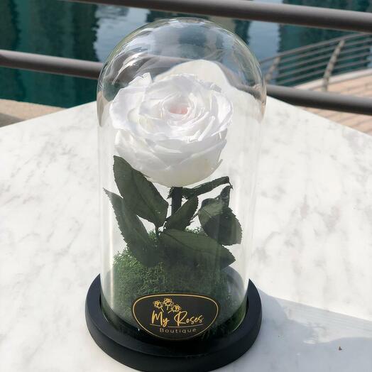 Rosa blanca individual Forever Rose (pequeña)