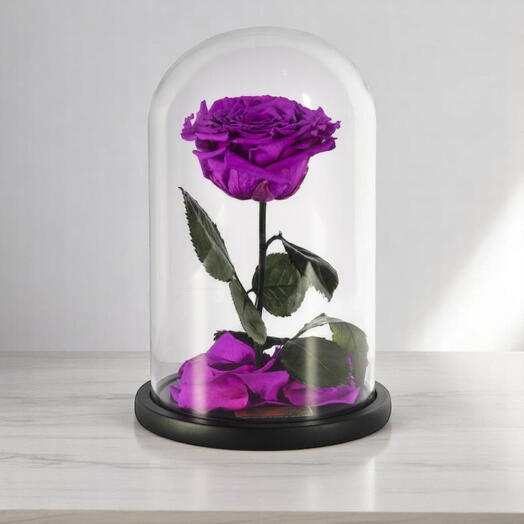 Стабилизированная роза Merlot в стеклянном куполе (одна)