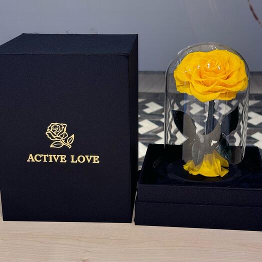 Single Yellow Forever Rose