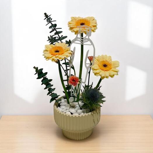 Горшечная композиция с солнечными герберами, эвкалиптом и акцентами из чертополоха