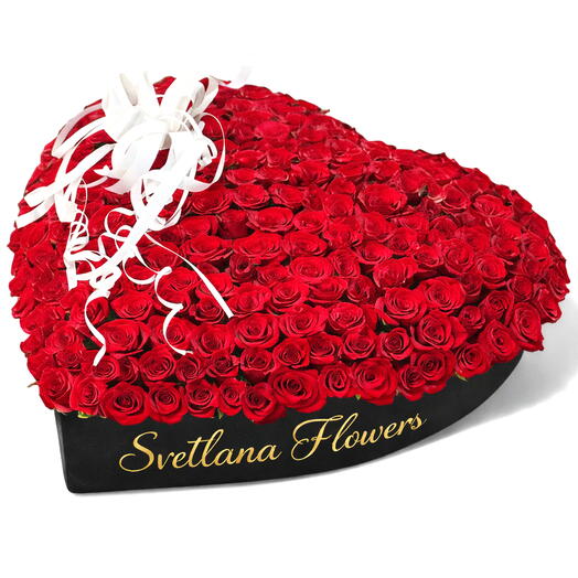 Heart of Forever – 201 Red Roses
