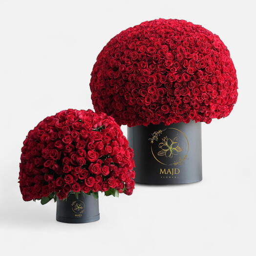 Valentine Mega XL с большой коробкой красных роз