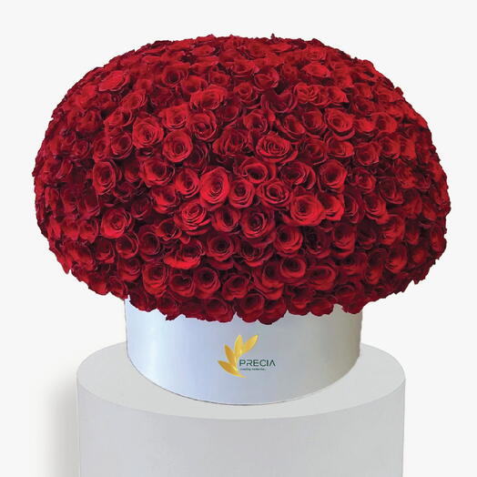 Grandiose Red Rose Box