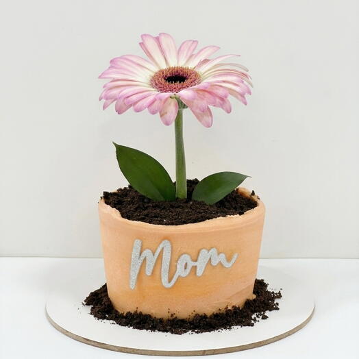 Tarta en forma de maceta