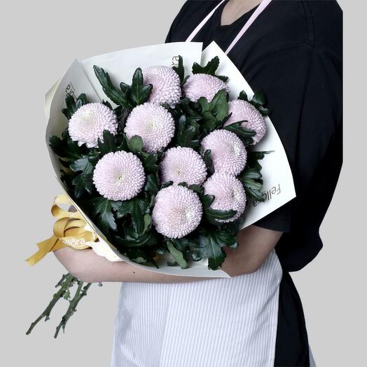 Chrysanthemum Momoko -1303