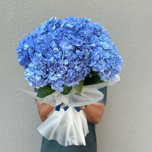 9 Blue Hydrangea Bouquet-1249