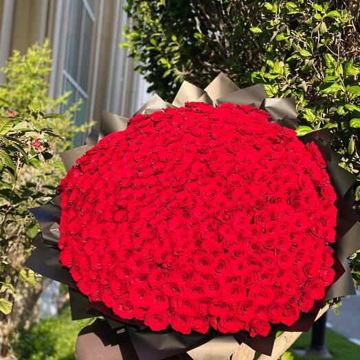 Любите её больше