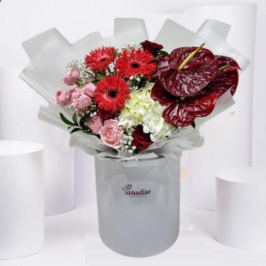 Passionate Romance(Box)