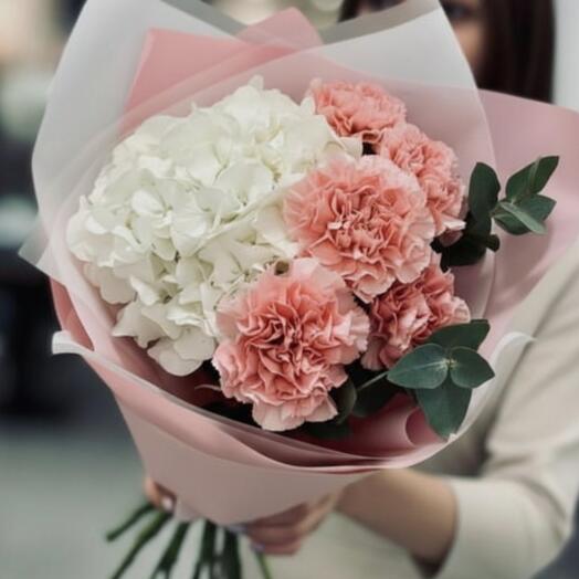 Blush Harmony Hydrangea Mix