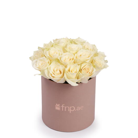 Premium White Roses