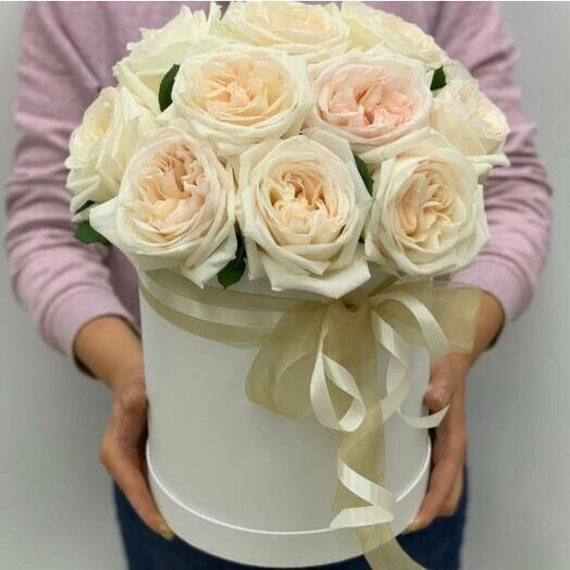 Ohara special in box