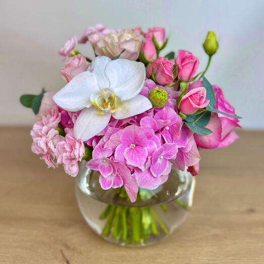 Божественная симфония белой орхидеи и розовой гвоздики