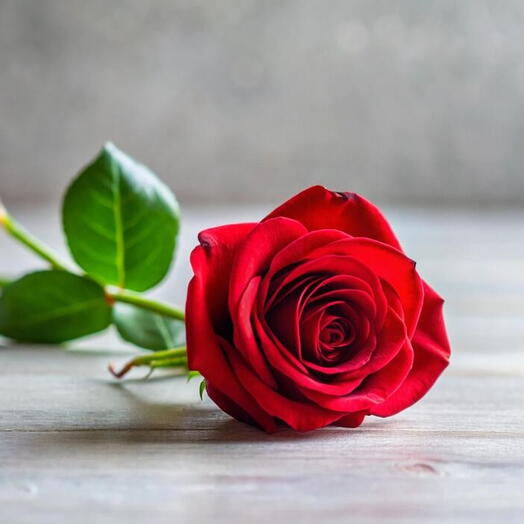 Красная роза