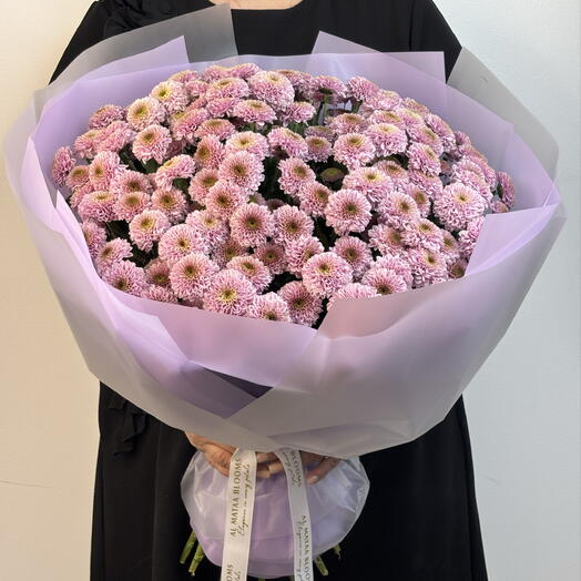 زهرة سانتيني بلون الليلكي الباهت