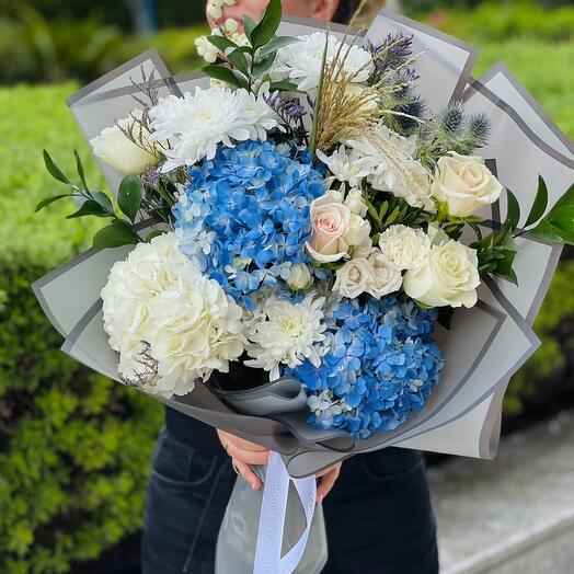 Stillenia Sylverossa