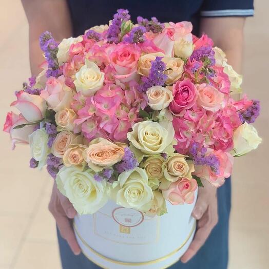 MIX POLASTAR ROSE IN BOX