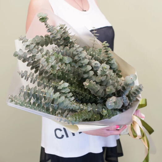 Bouquet of eucalyptus-5992