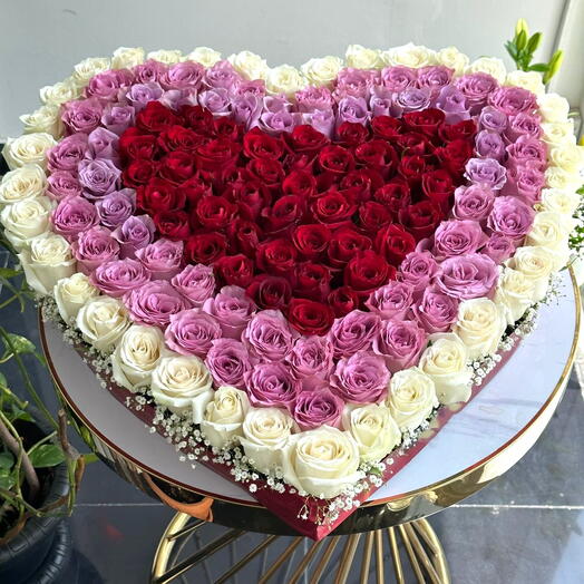 Corazón de Rosas de Lujo – 151 Rosas Rojas, Rosadas y Blancas en un Gran Diseño