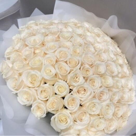 101 Luxury white roses