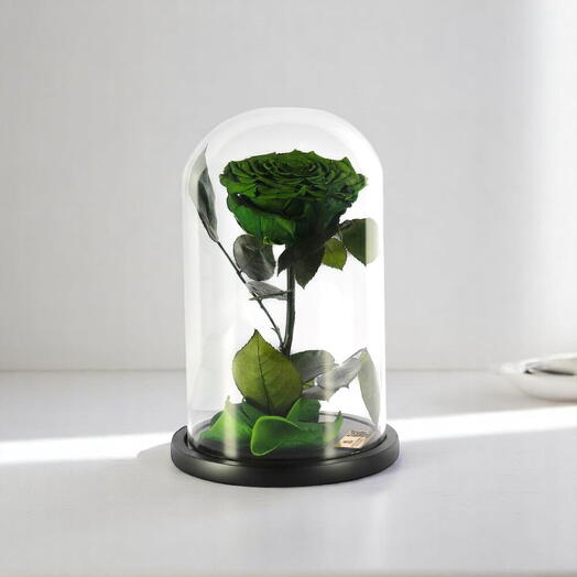 Изумрудно-зелёная стабилизированная роза в стеклянном куполе, одиночная