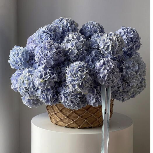 51 Blue hydrangea Basket