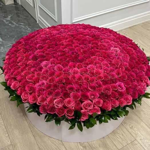 1001 Hot Pink Rose Luxurious Box
