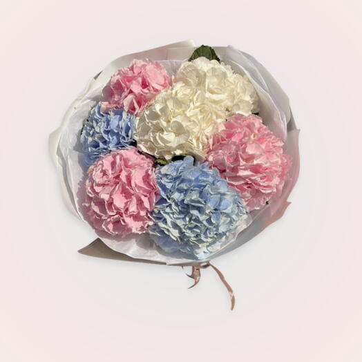 Mix hydrangea