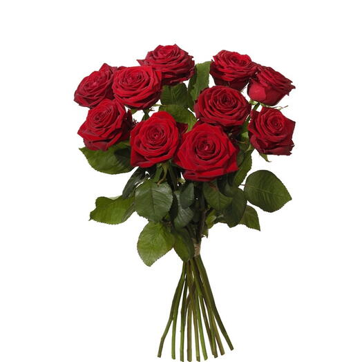 10 Fresh Red Roses - Valentines Day Gifts