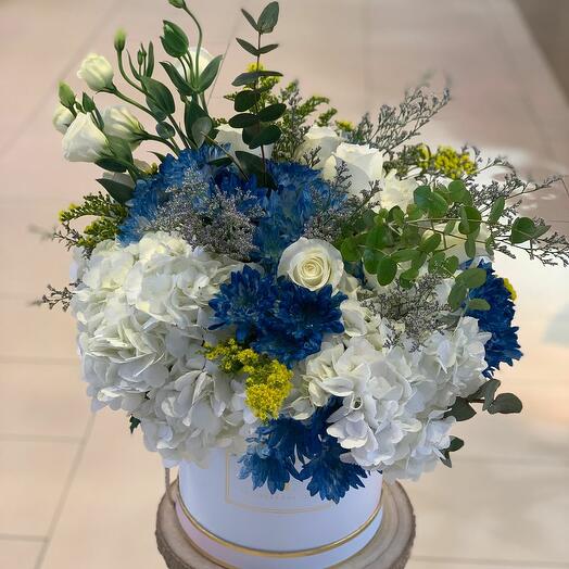 ХРИЗАНТИЯ ГОЛУБАЯ ГИДРАНГИЯ