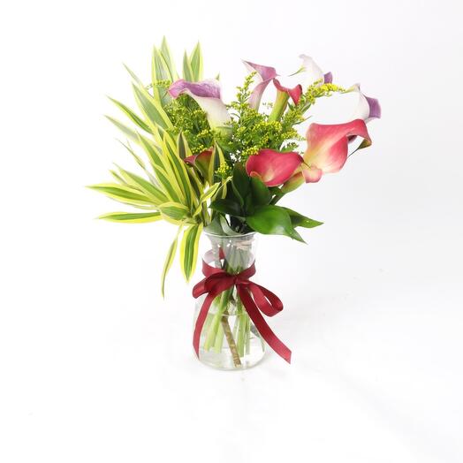 Калла тропическая лилия