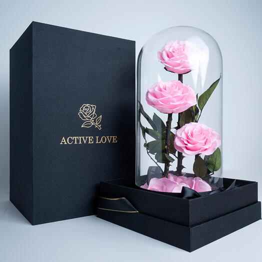 Pink Infinity Roses-1429