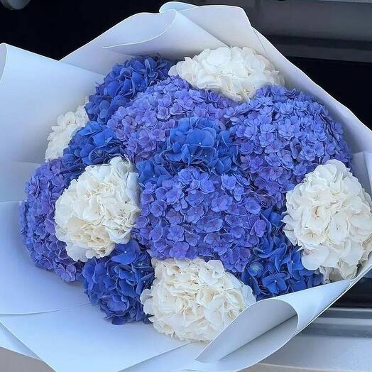 Bouquet of assorted hydrangeas 15