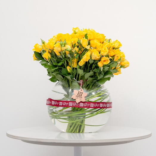 Новая надежда