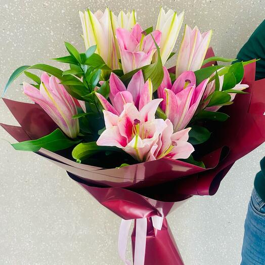 Blush Lilly Elegance