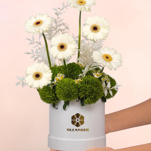 ИЗУМРУДНАЯ МЕЧТА БОКС КУТЮР