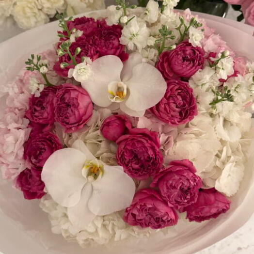 Mother s Day Pearl hydrangea