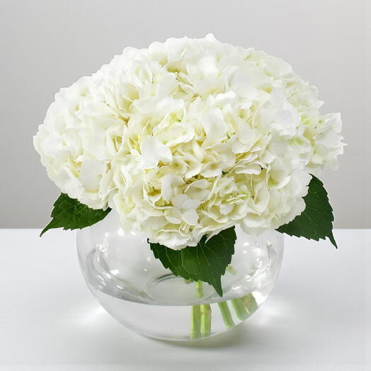 White Beauty Vase