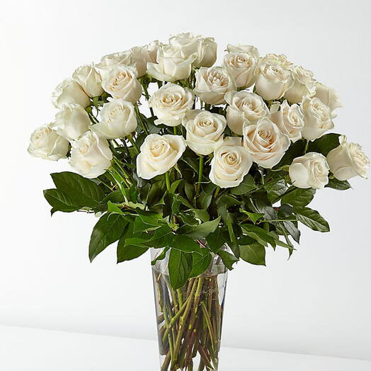 WWhite roses in vase