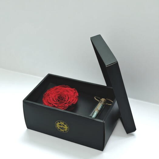 Red Infinity Rose in a Signature Box with a Message Bottle