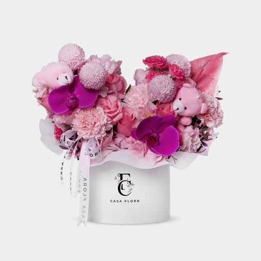 Baby Girl s Joyful Welcome