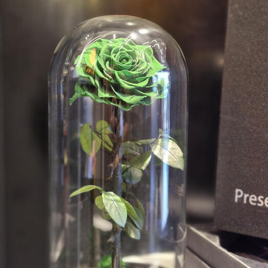 Стеклянный купол - ВЕЧНЫЕ РОЗЫ | Зелёный (БОЛЬШОЙ)