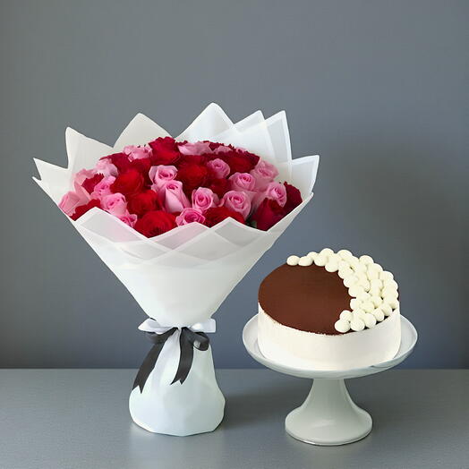 Amour pastel et gâteau tiramisu