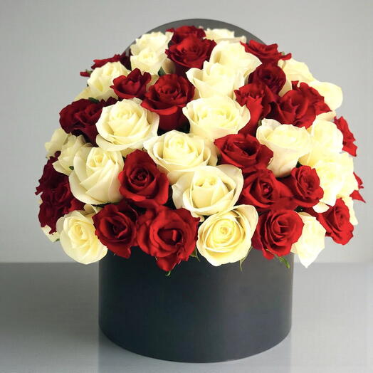 41 Red  White Harmony Box | RC-B350